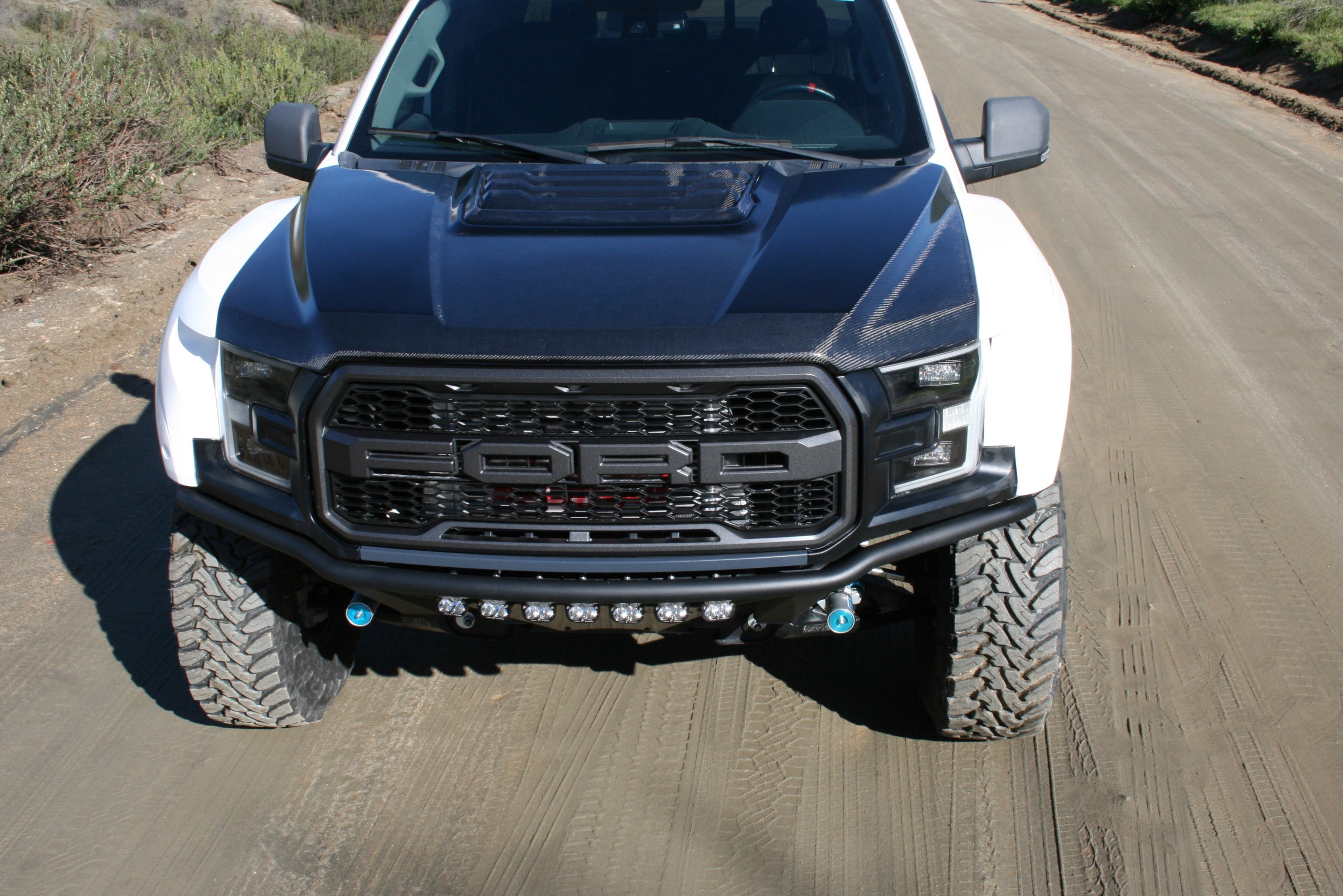 2017-2020 Ford Raptor OEM Style Hood – FiberwerX