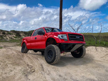Load image into Gallery viewer, 2009-2014 Ford F-150 Fenders
