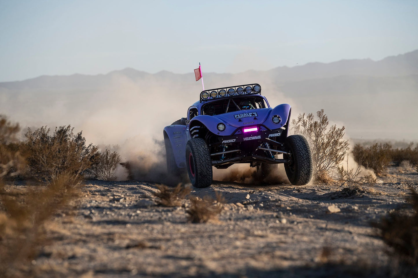 Blake Wilkey "JAWS" Trophy Bug Body
