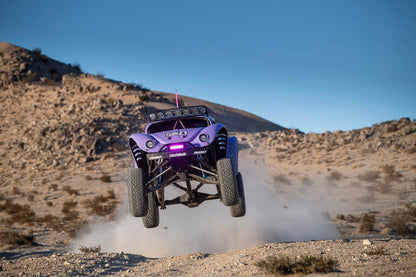 Blake Wilkey "JAWS" Trophy Bug Body
