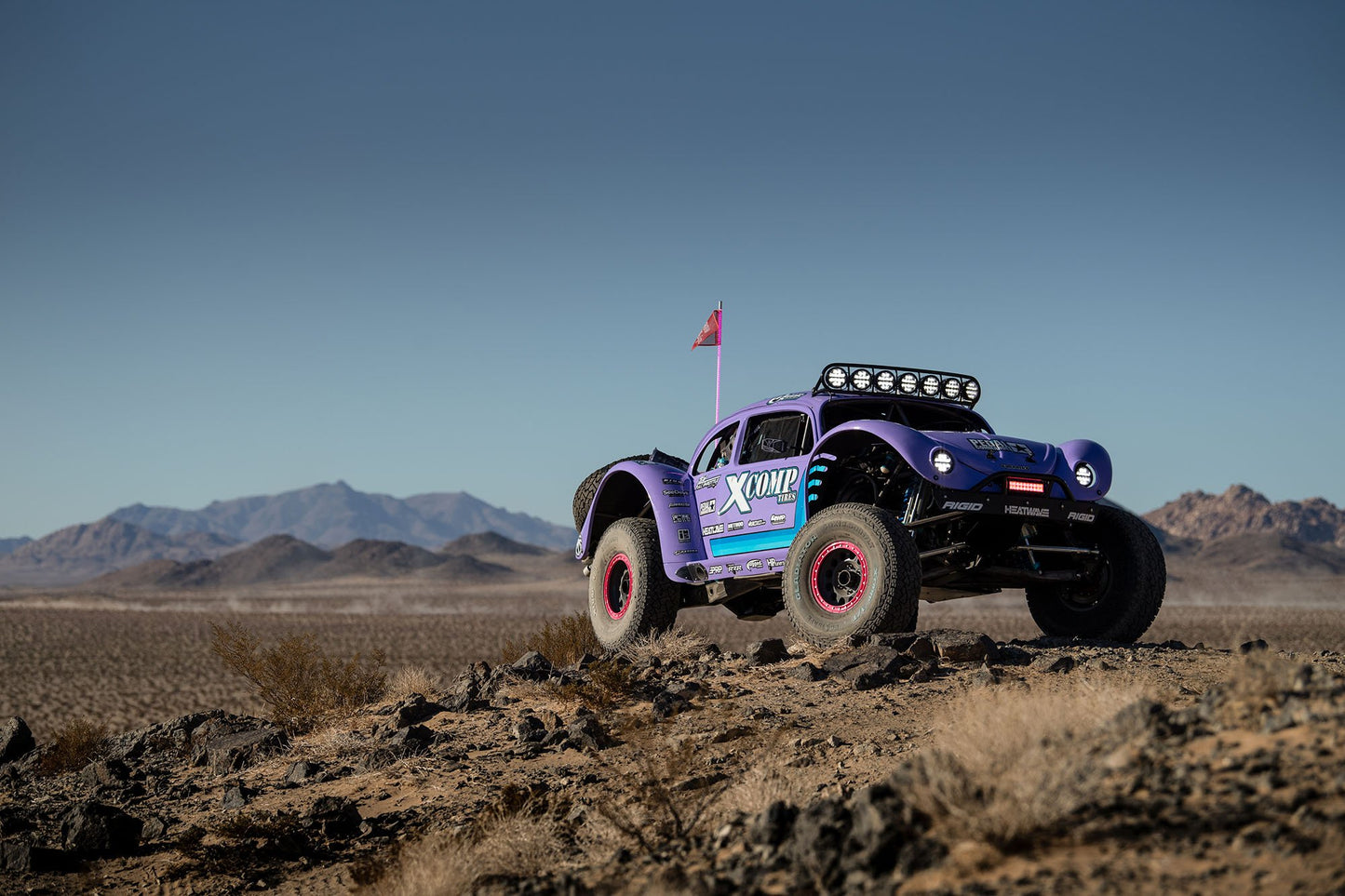 Blake Wilkey "JAWS" Trophy Bug Body