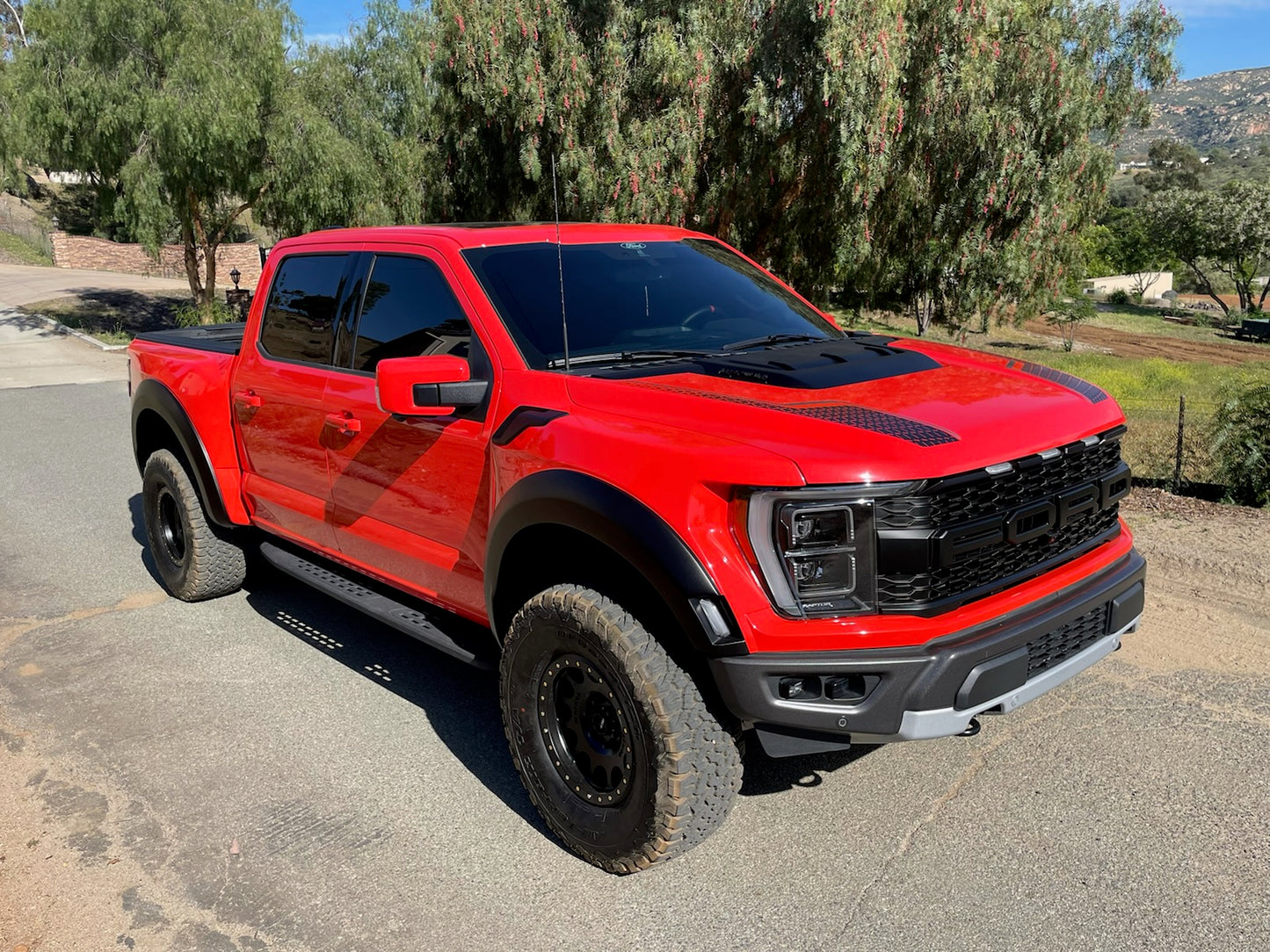 2021-2025 Ford Raptor Bedsides