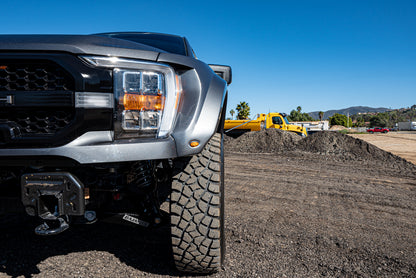 2021-2025 Ford F-150 "Deberti" Fenders
